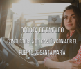 Conductor/a de cami&oacute;n con ADR