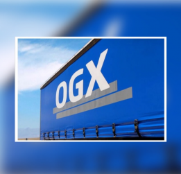 OGX  Piso M&oacute;vil o lona granel